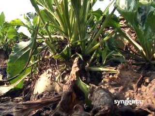 SVET POLJOPRIVREDE_383_17.01.2015.