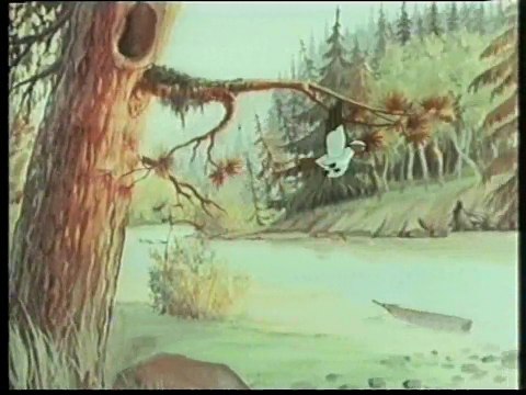 Таёжная сказка (1951)