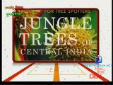 Jungle (Trees) of Central India in Ru-Ba-Ru 25th January 2015 Video Watch Online pt1 - Watching On IndiaHDTV.com - India's Premier HDTV