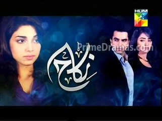 Nikah Episode 5 On hum tv promo