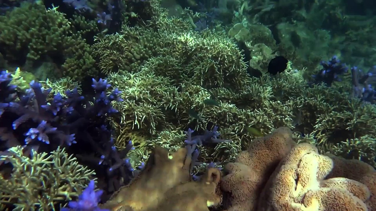 Trip Australia Whitsundays Fraser