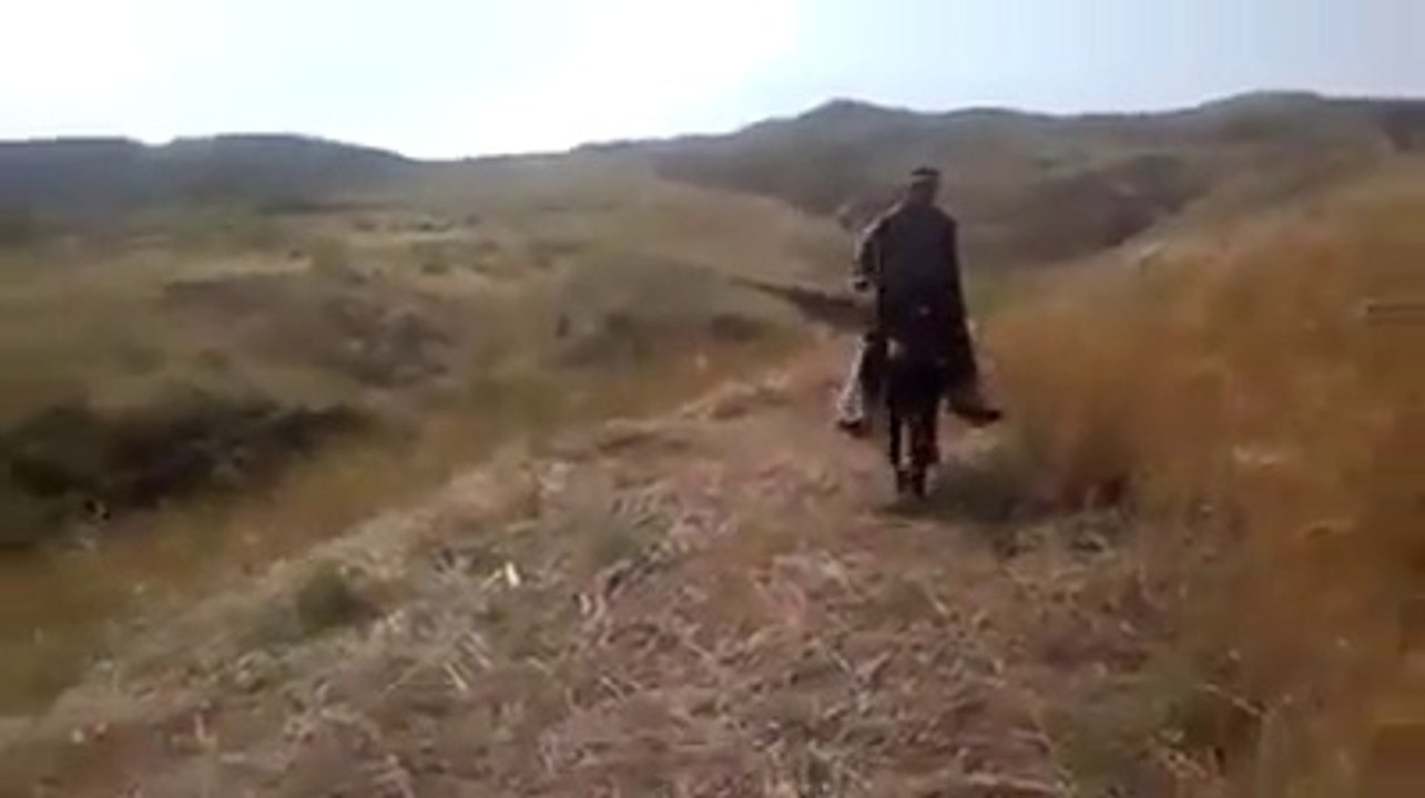 eşşek