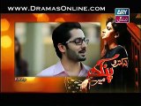 Na Katro Pankh Meray Episode 16 on Ary Zindagi in High Quality 25th January 2015 - DramasOnline