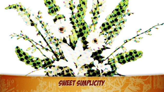 714-593-1236 Newport Beach Gifts Flowers Embroidery - Wedding Floral Arrangements