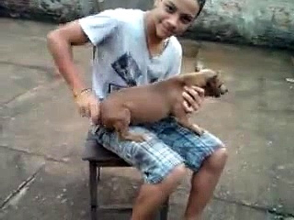 Superfast Dog Trying To Chase it's tail