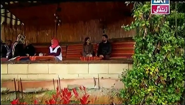 Masoom Episode 67 on ARY Zindagi in High Quality 25th January 2015