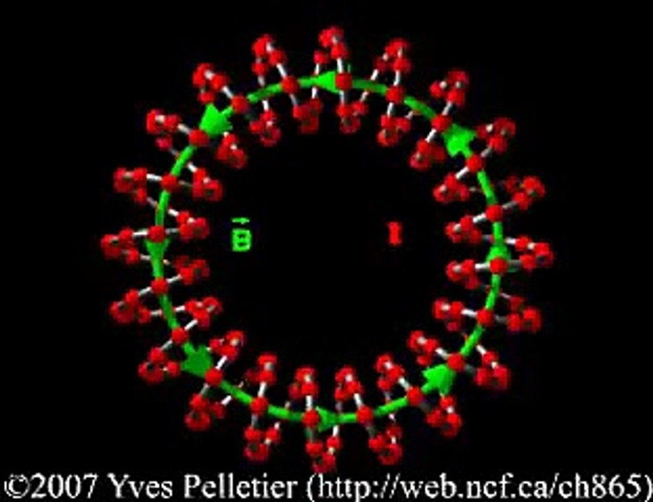 Magnetic field in a toroidal coil