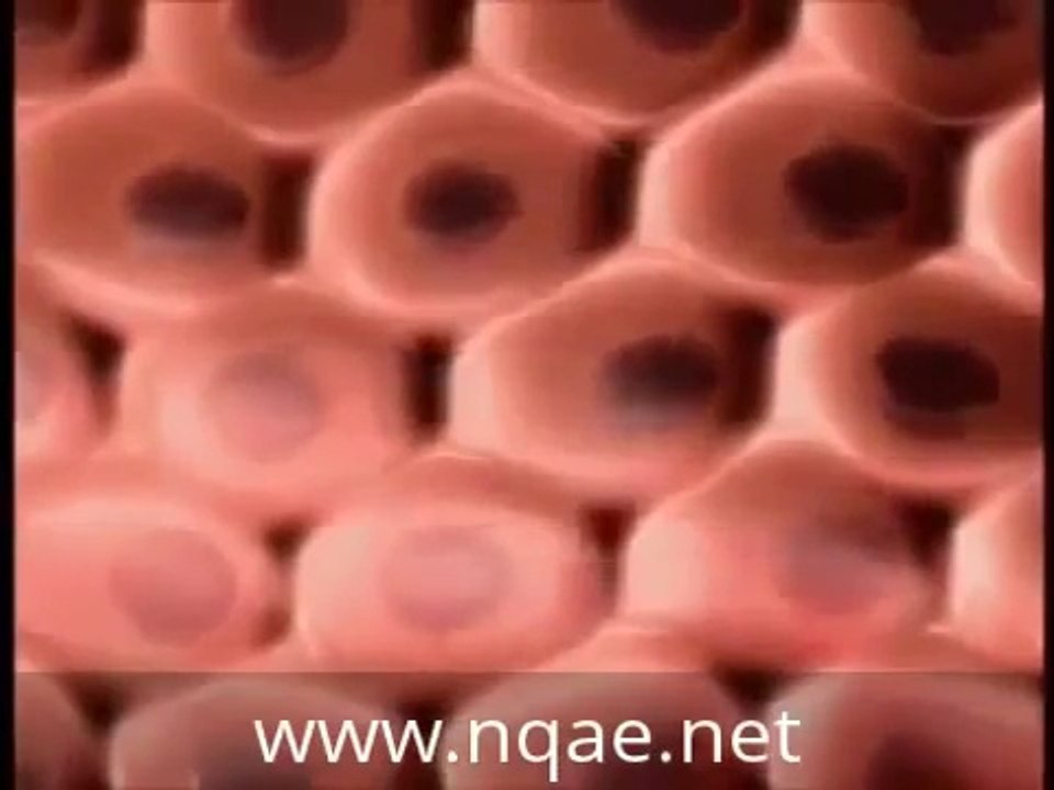 الجهاز الخاص