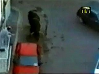 Un taureau énervé