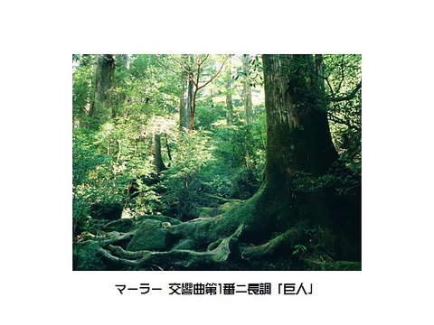 マーラー交響曲集・Mahler Symphony Collection（長時間作業用クラシックBGM・CLASSIC）