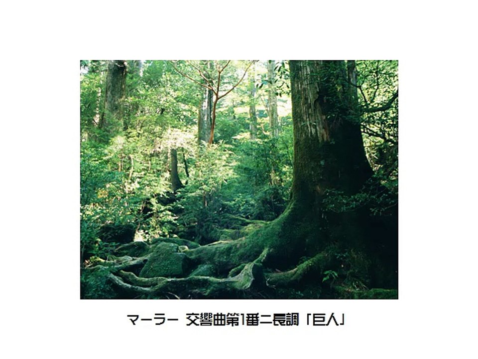 マーラー交響曲集・Mahler Symphony Collection（長時間作業用クラシック...
