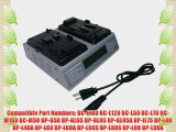 PowerSmart? Professional 2-Channel V-Mount Battery Charger for SONY DCR-50 DCR-50P (DVCAM VTR)