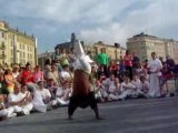 capoeira gerais tartaruga