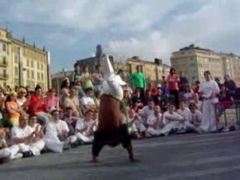 capoeira gerais tartaruga