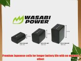 Wasabi Power Battery for Sony NP-FV30 NP-FV40 NP-FV50 (1200mAh 2-Pack)