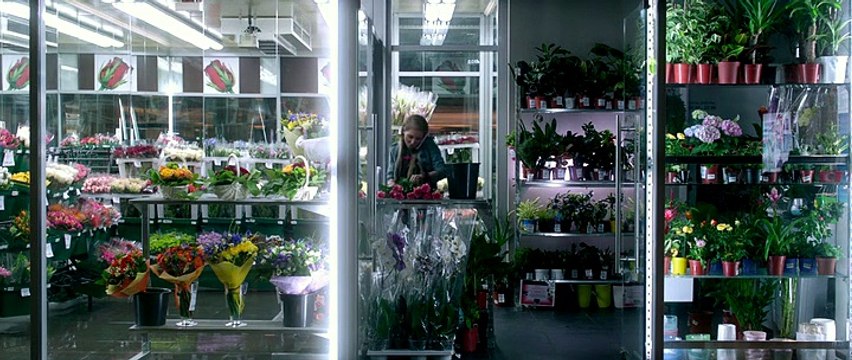 скачать через торрент мп4 фильм Бабадук 3д