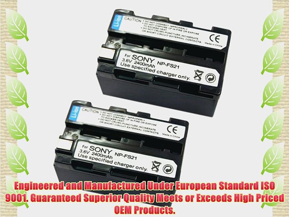 ValuePack (2 Count): Extended Performance Replacement Battery for Specific Digital Camera and