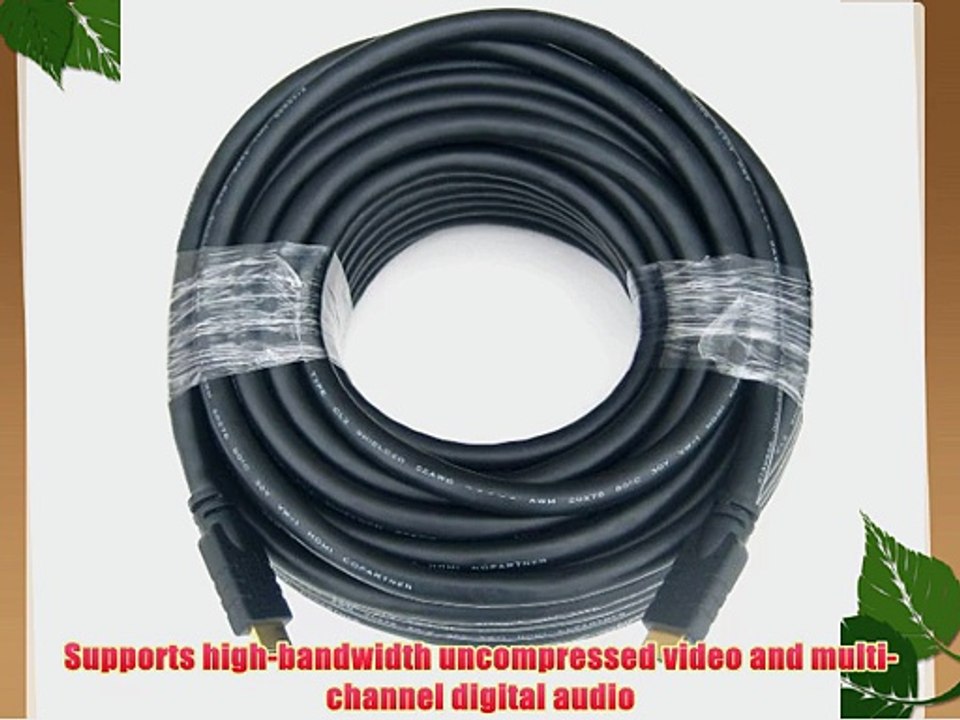 RiteAV - PREMIUM - HDMI Cable - 100 feet.