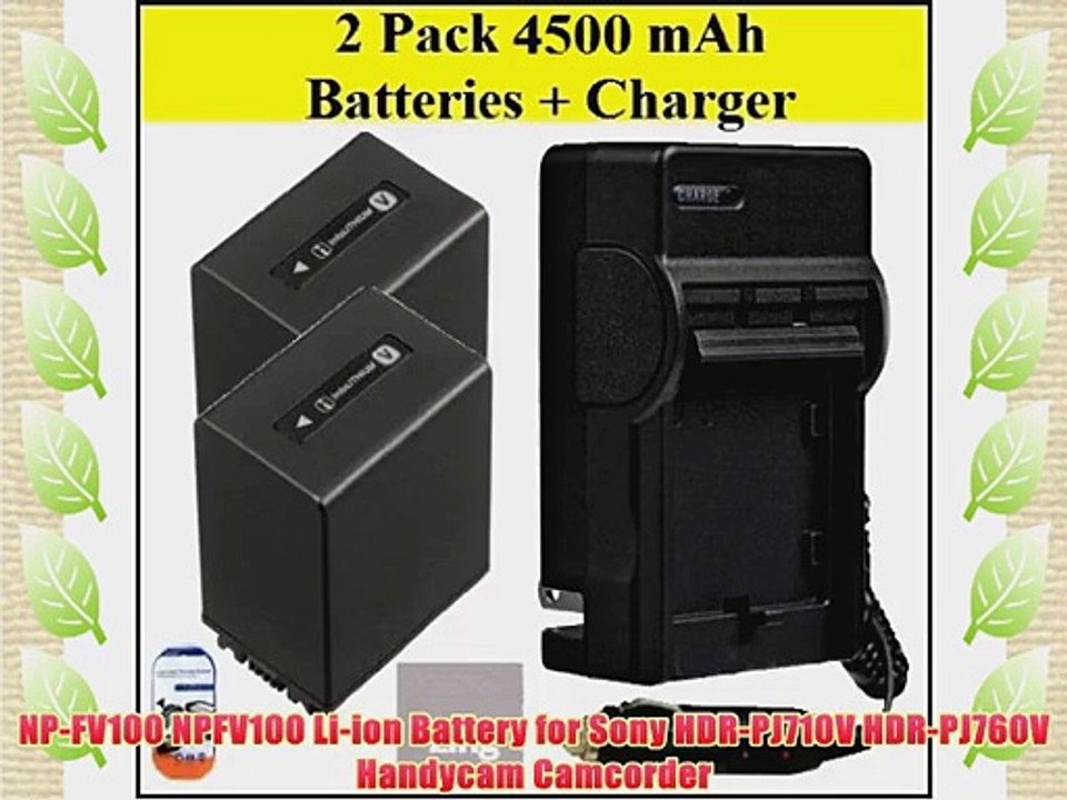 Sony HDR-PJ710V HDR-PJ760V Handycam Camcorder Battery