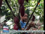 Plan Colombia de EE.UU. mata la tierra y merma seguridad alimentaria