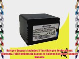 Halcyon 4200 mAH Lithium Ion Replacement Battery for Panasonic HC-V500M HD Digital Camcorder