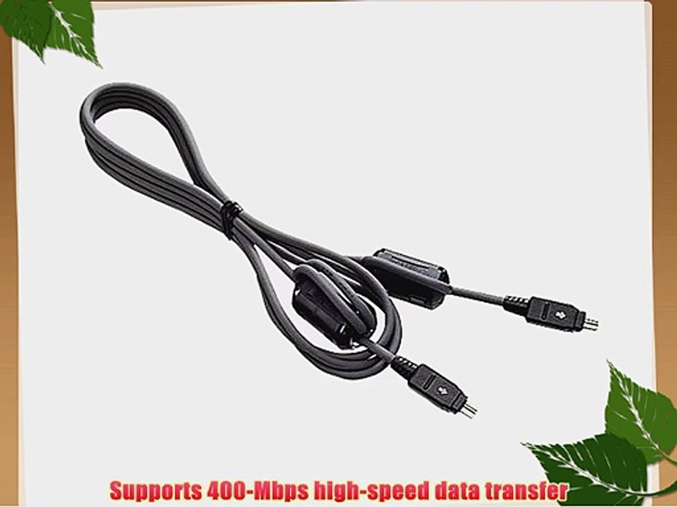 JVC VCVDV206U 4 to 6 pin Digital Video Cable