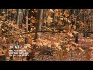 Guc nga vi yeu - Tam doan