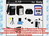 8GB Accessory Kit For Sony HDR-CX230 HDR-CX230/B FDR-AX100 HDR-CX900 FDR-AX33 FDRAX33/B HD