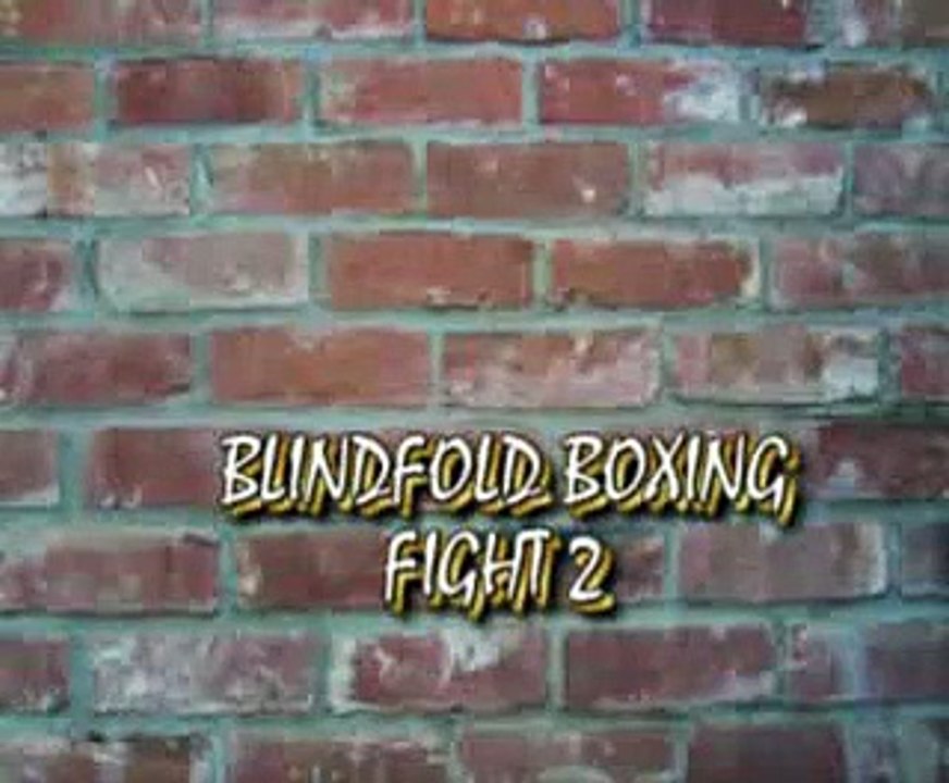 Blindfolded Boxing | Funny Videos