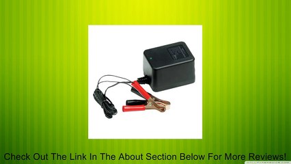 ProMariner ProSport 1.5 Amp Portable Maintainer Review