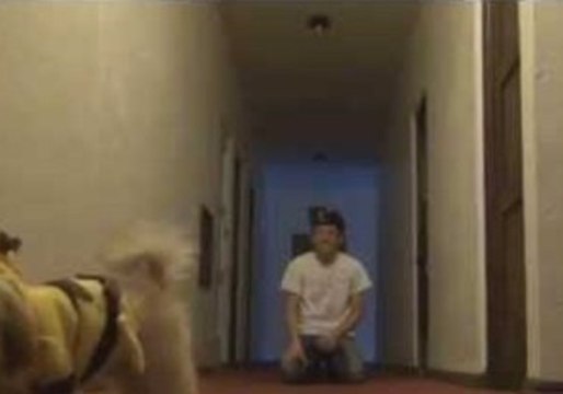 PikaBear Is Delighted With His Surprise Christmas Gifts