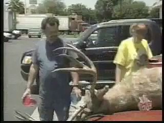 OMG This is hilarious!!