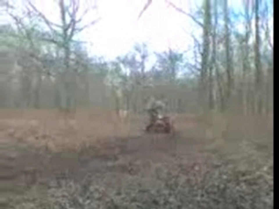 Video-quads 1