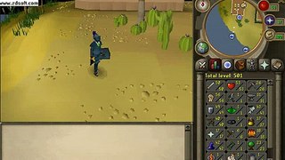 Buy Sell Accounts -  selling my runescape account
