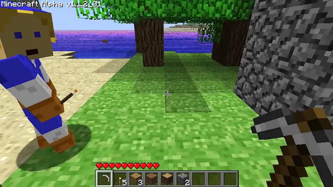 Minecraft Multiplayer Fun