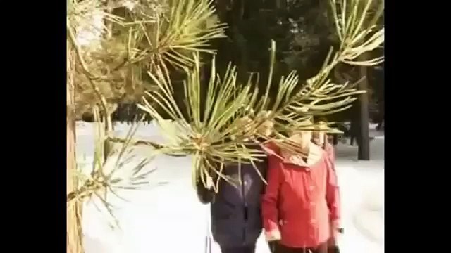 Профессор Неумывакин: Как нас одурачивают