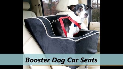 Dog Car Seats