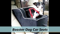 Dog Car Seats