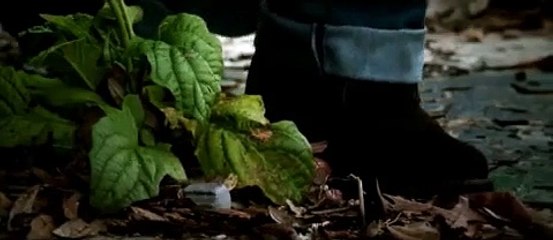 정선바카라ほ­ｓ­ｖ­ｓ­７­８­７­，­Ｃ­Ｏ­Ｍ­