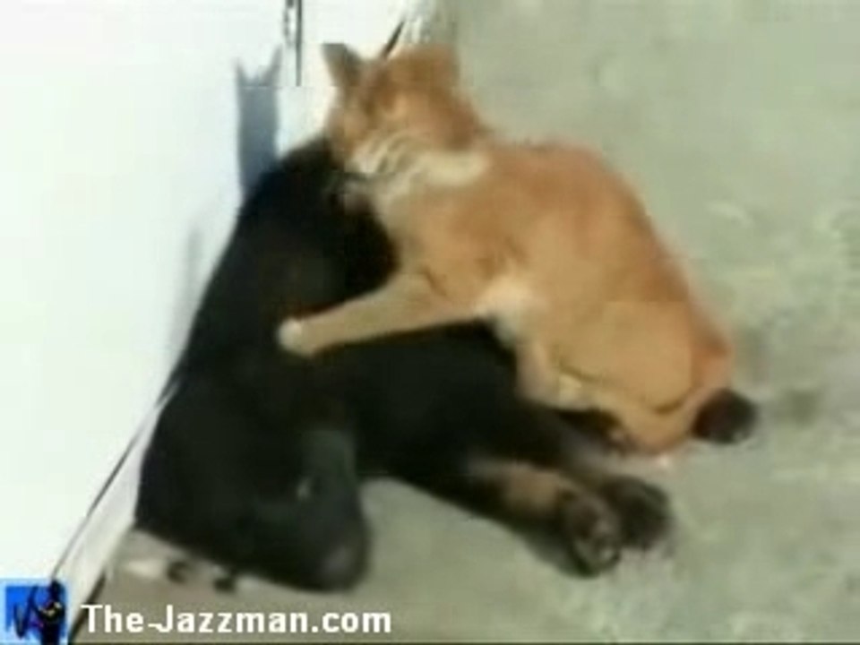The Massage