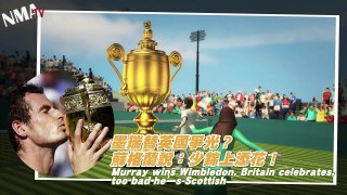 Wimbledon 2013: Scotsman Andy Murray wins, Britain celebrates!?