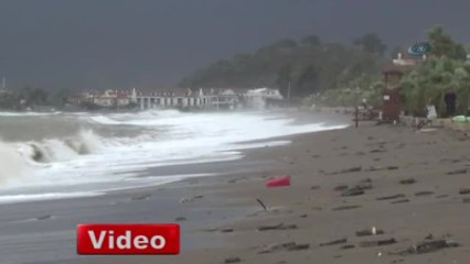 Plajların Define Avcıları İş Başında