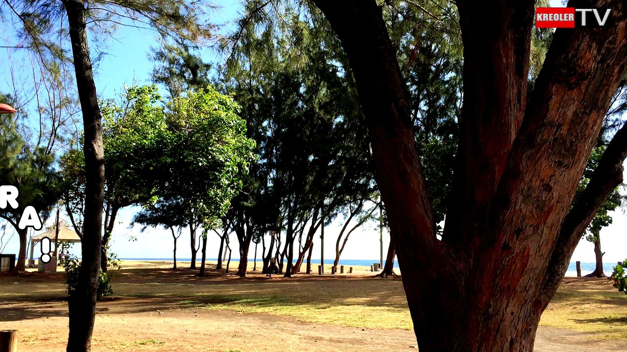 Les mots en créole réunionnais - Georges Soubou