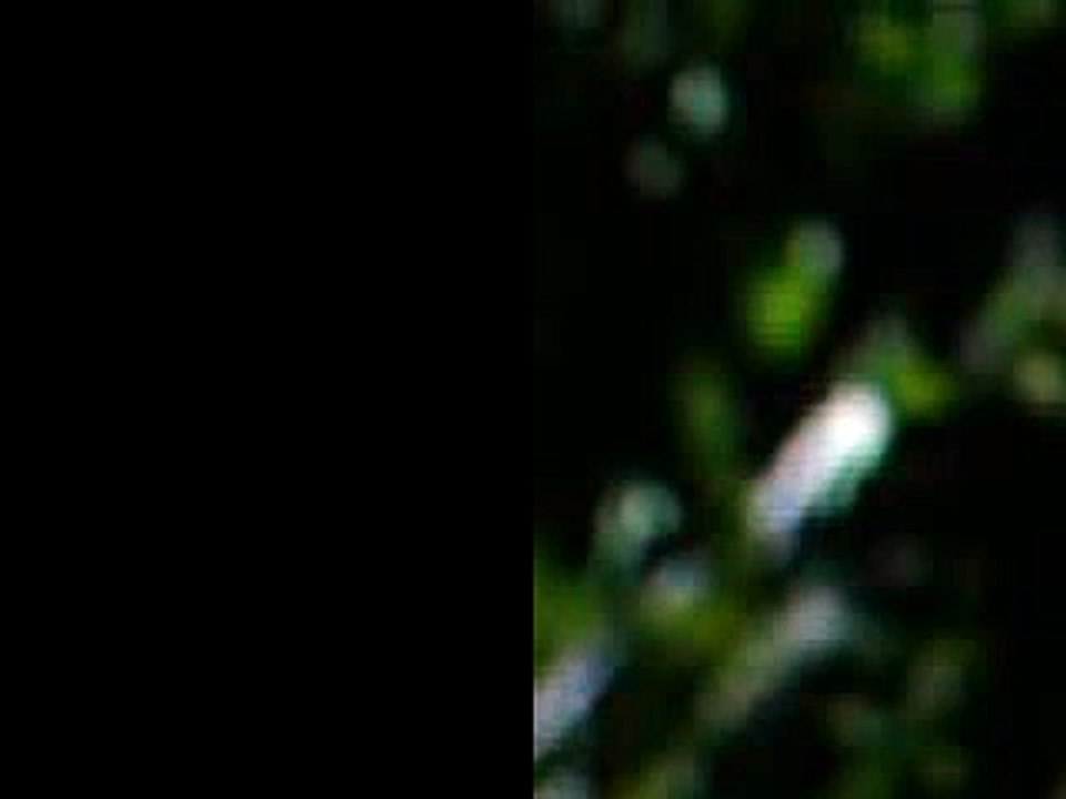 “2009년이었어요. 그때고령건마방단체할인 부산에서천안건마방단체할인57해운대건마방단체할인035하고