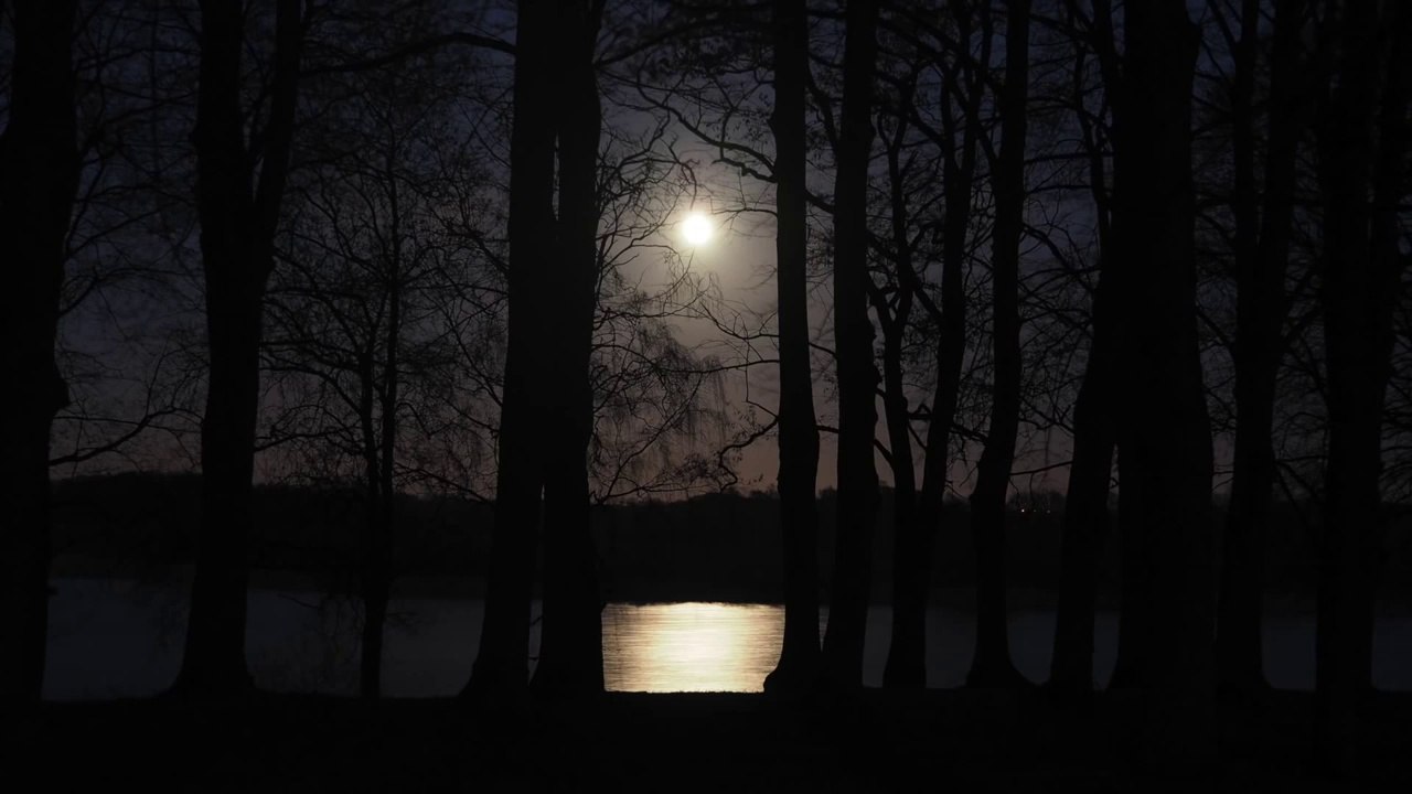 Bach and Moon