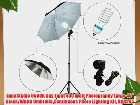 LimoStudio 6500K Day Light 400 Watt Photography Large 40 Black/White Umbrella Continuous Photo