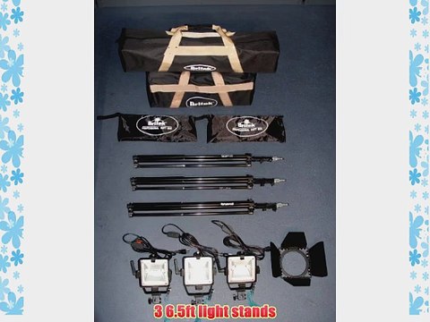 1950w Halogen Light Kit