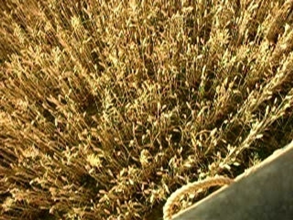 Vol mongolfiere 1 juillet 2006