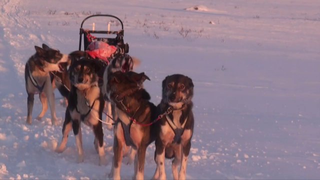 2015.01 Ammarnäs sur les hauts plateaux