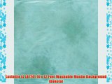 Lastolite LL LB7741 10 x 12 Feet Washable Muslin Background (Dakota)